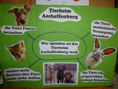 Wir spenden an das Tierheim Aschaffenburg